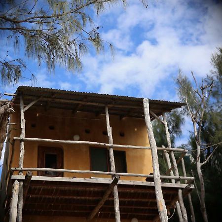 Tree House Cottage, Ocean View Praia do Praia do Tofo Exterior foto